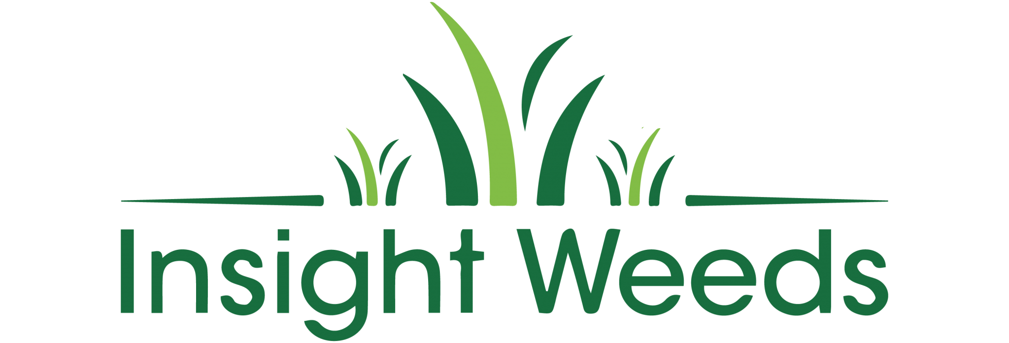 Mulch Glue is a Much Effective Way to Prevent Weeds From Germinating