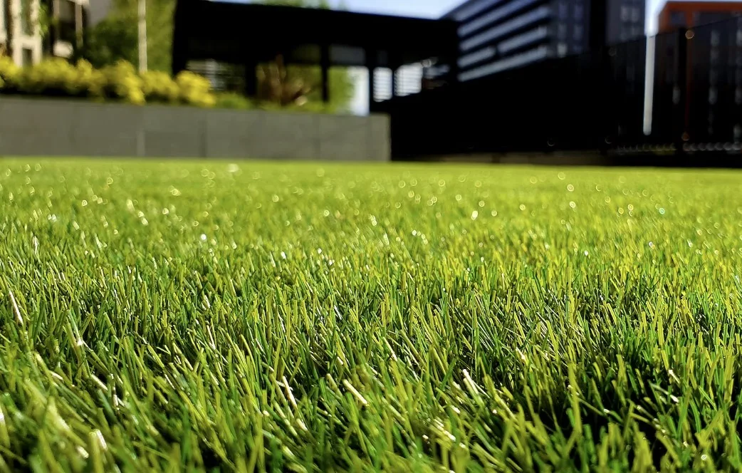A well manicured grass lawn