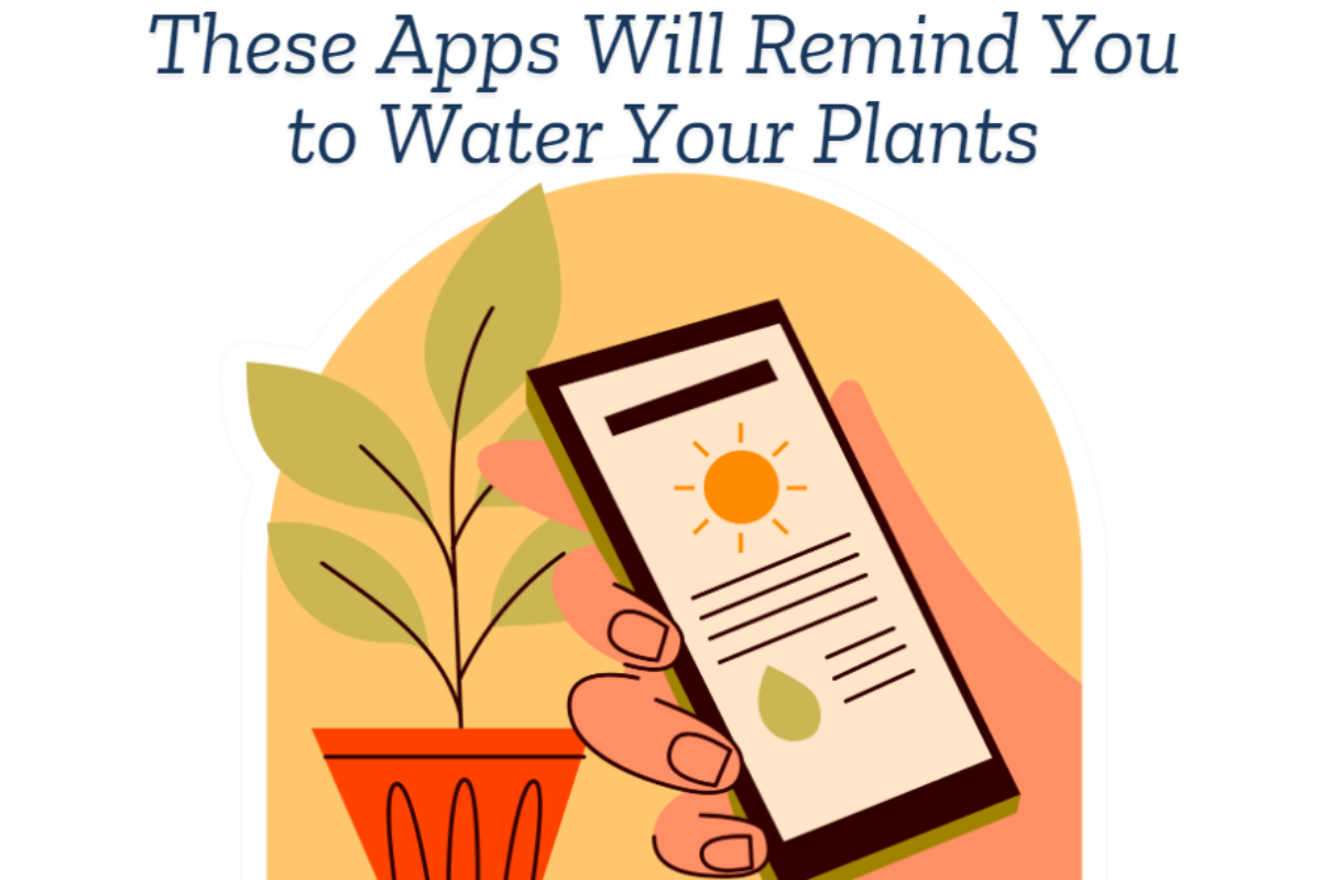 Apps that will remind you to water your plants