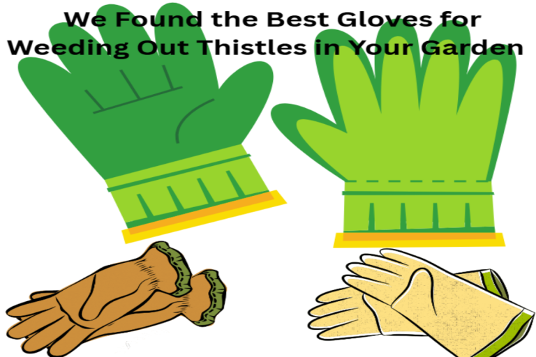 Best gloves for weeding out thistles