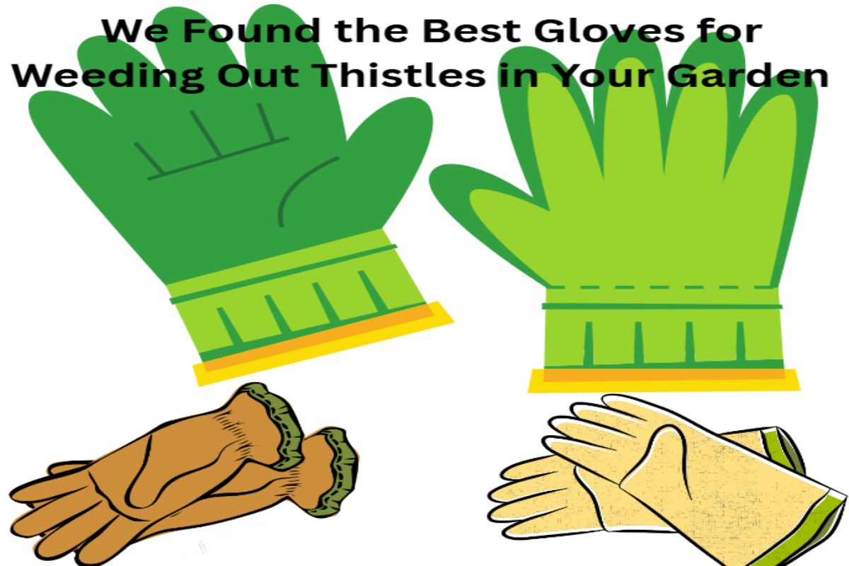 Best gloves for weeding out thistles