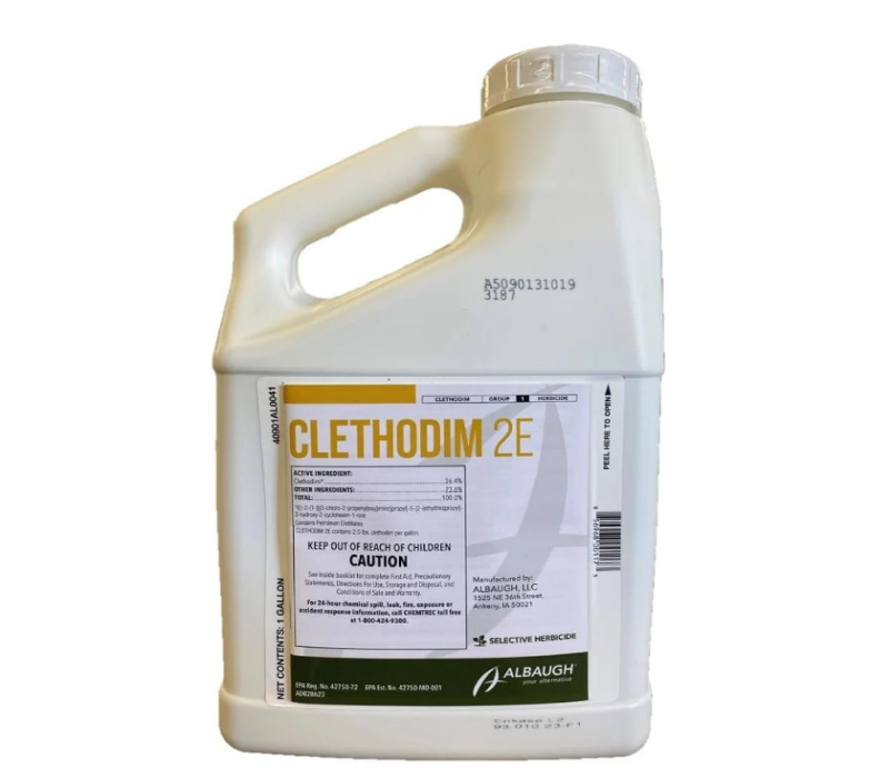 Changing climatic conditions and over-reliance on clethodim are some of the reasons for poor weed control
