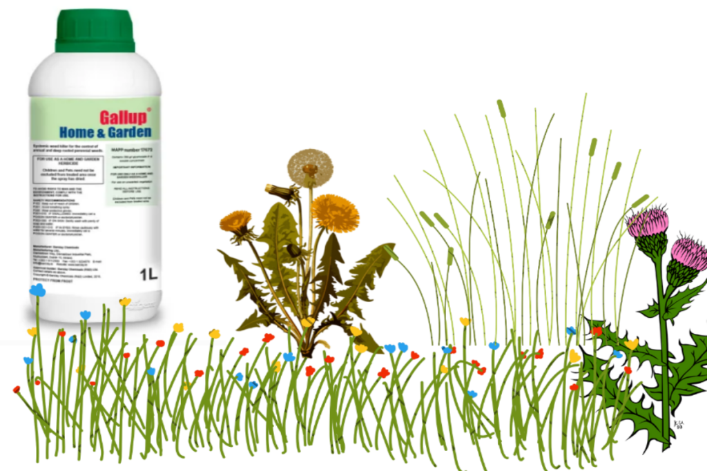 Gallup weed killer and garden weeds