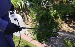 Why is my pump sprayer not working? Troubleshooting guide - InsightWeeds