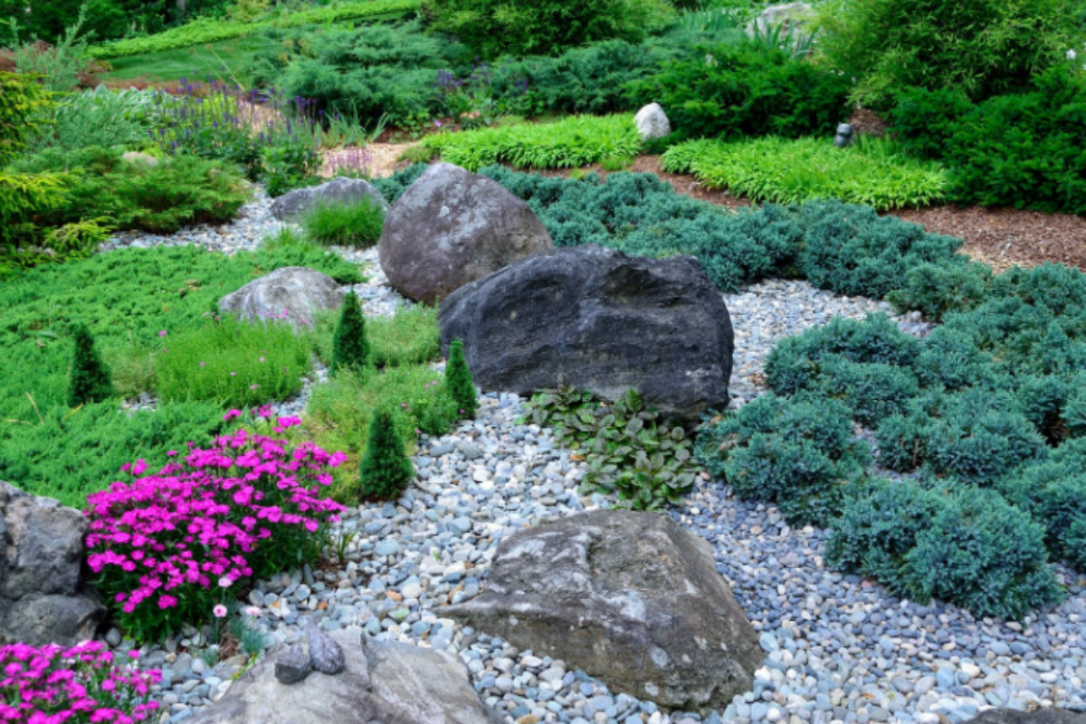 A rocky landscape