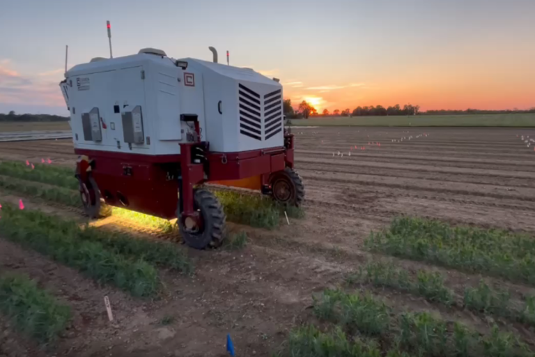 The Rutgers laser weeder